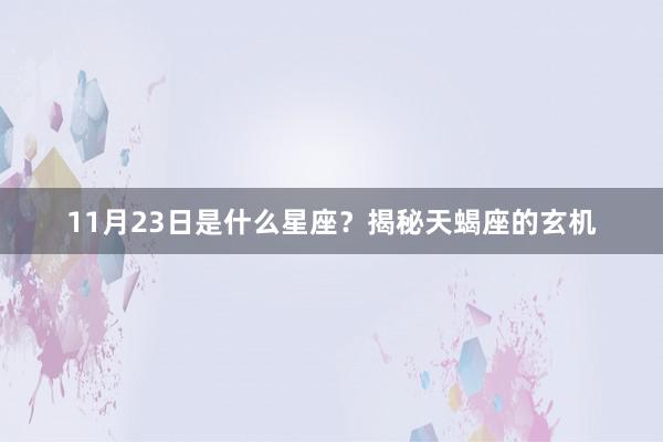 11月23日是什么星座？揭秘天蝎座的玄机
